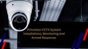 Get complete security services with Princeton